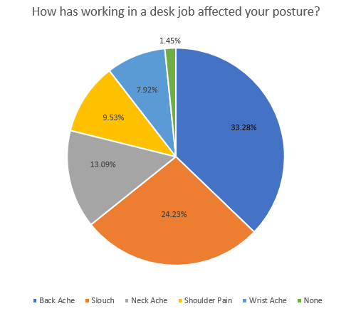 Posture Pie Chart